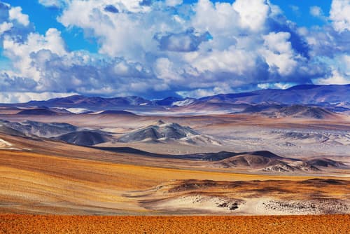 Argentine