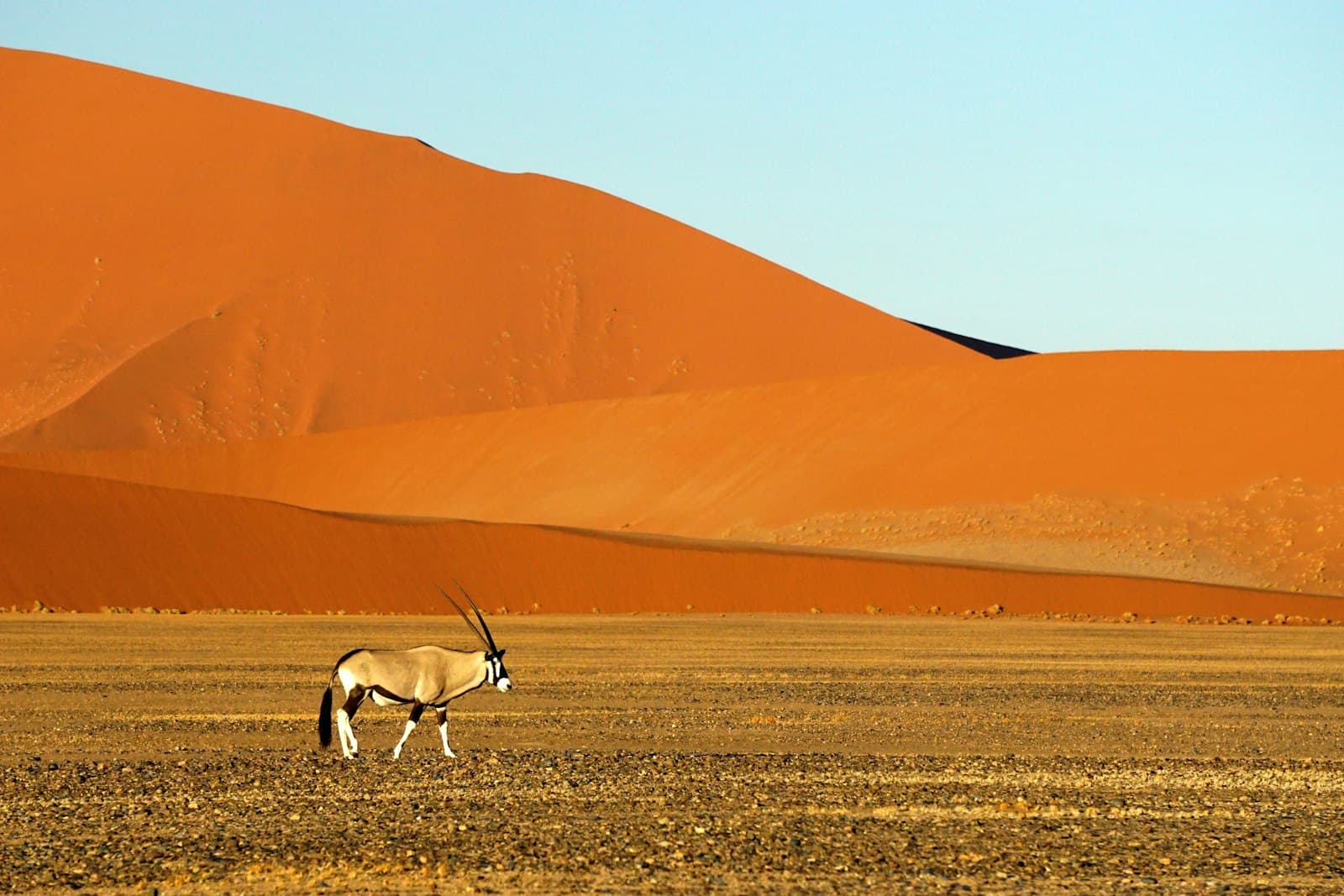 Namibie