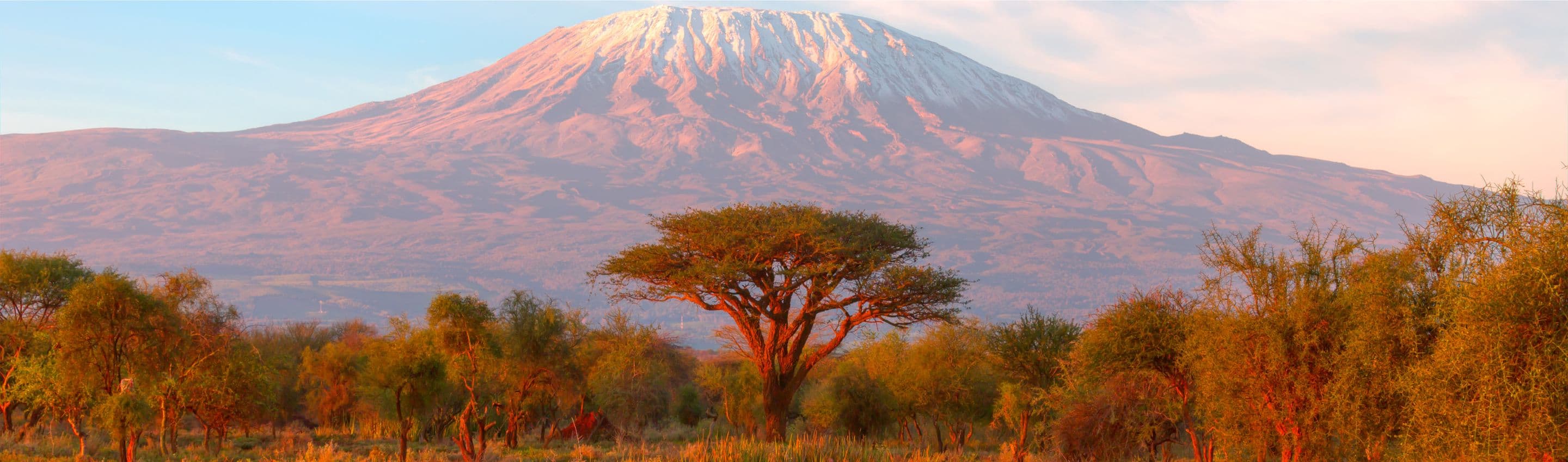 Tanzanie