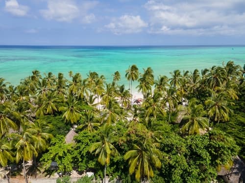 Tanzanie