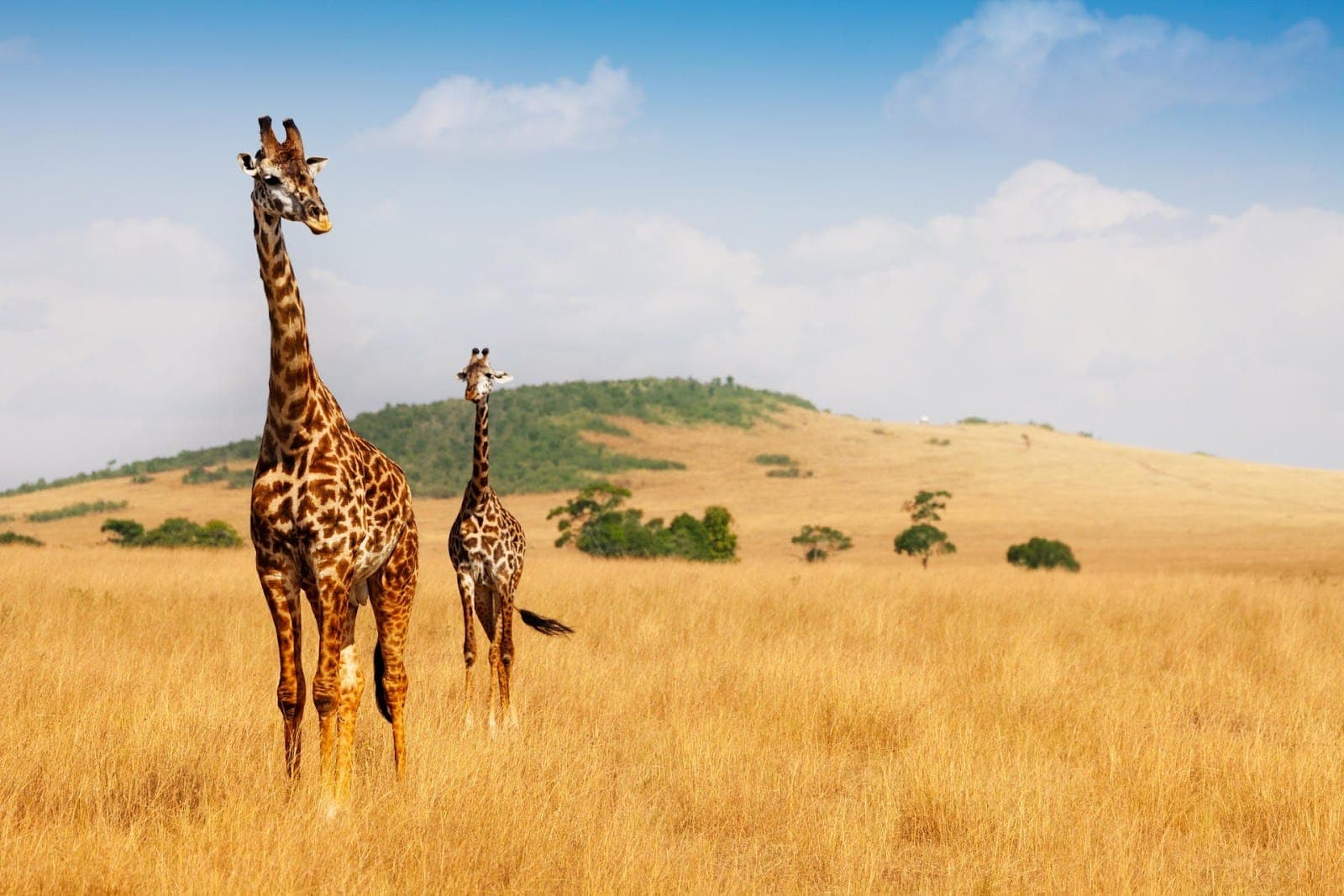 Kenya