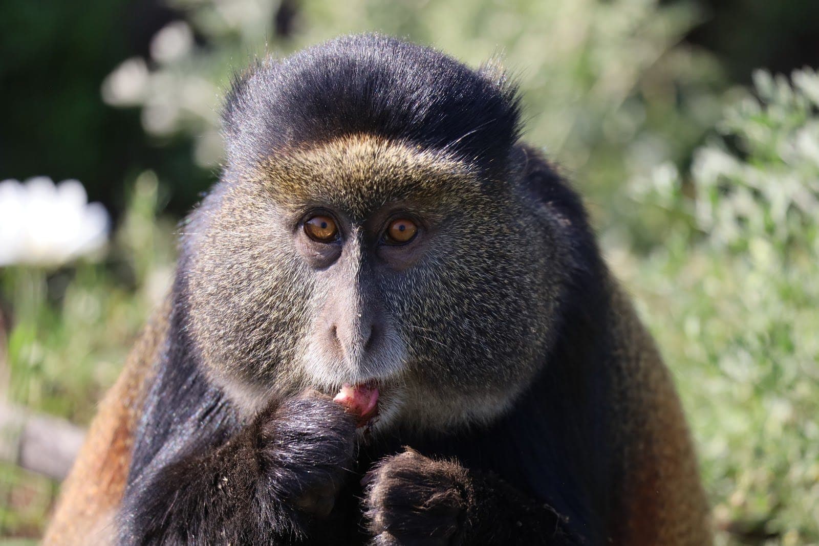 Rwanda