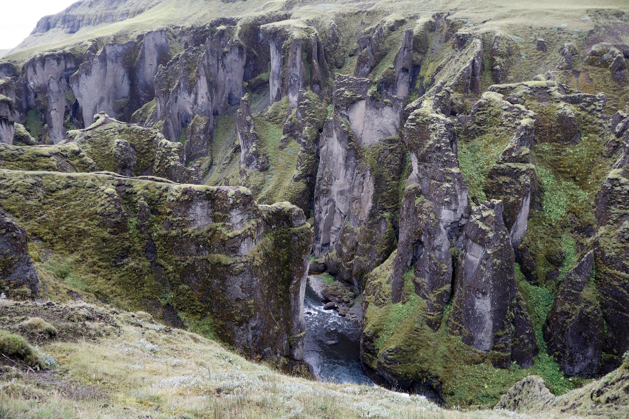 Le canyon sinueux de Fjaðrárgljúfur couvert de mousse