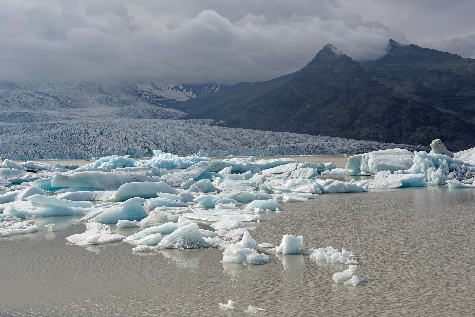 Icebergs sur la lagune de Fjallsárlón au pied du glacier