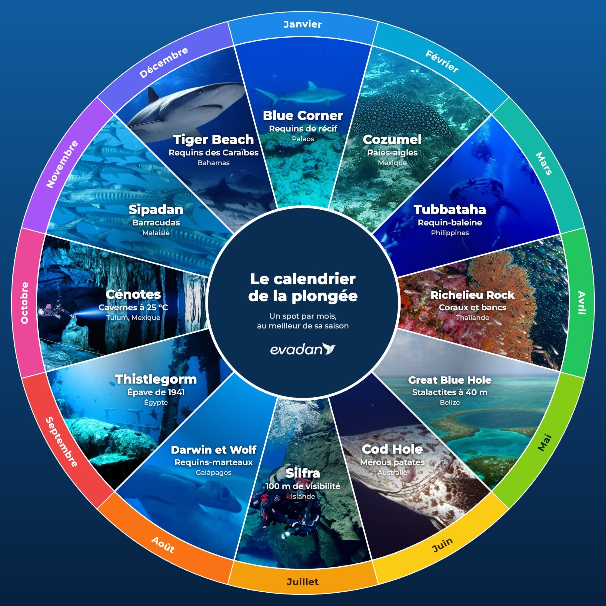 Calendrier de la plongée en roue : un spot par mois avec sa photo, de Blue Corner en janvier à Tiger Beach en décembre